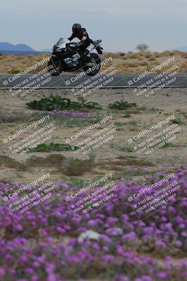 media/Jan-14-2023-SoCal Trackdays (Sat) [[497694156f]]/Turn 14 Exit Bloomig (145pm)/